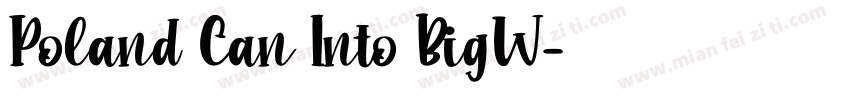 Poland Can Into BigW字体转换